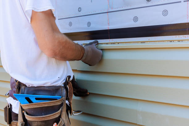 Best Insulated Siding Installation  in Lindsay, TX